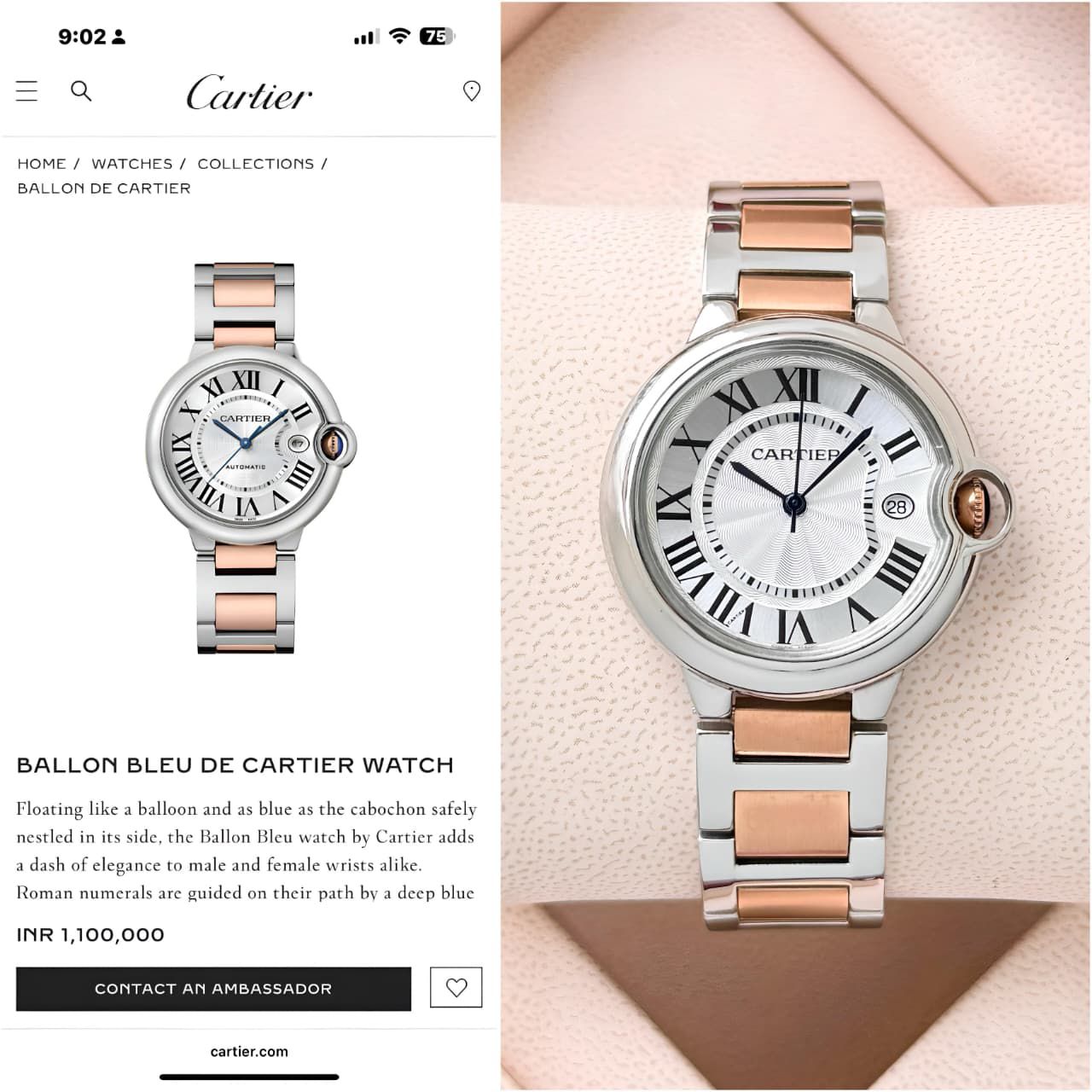 Women Watch